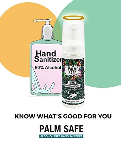 Read more about the article Palm Safe Hand Sanitizer-Review